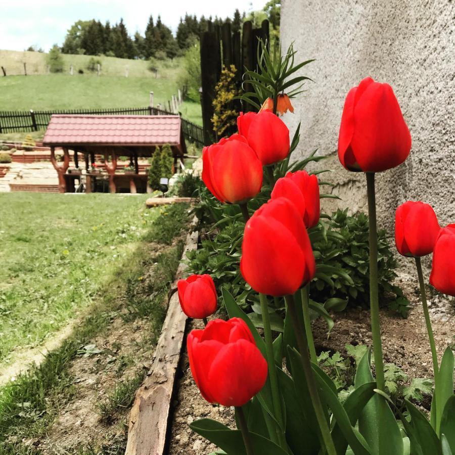 Apartman Jedlicka Telgárt Dış mekan fotoğraf